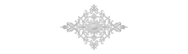 Розетка РН-1