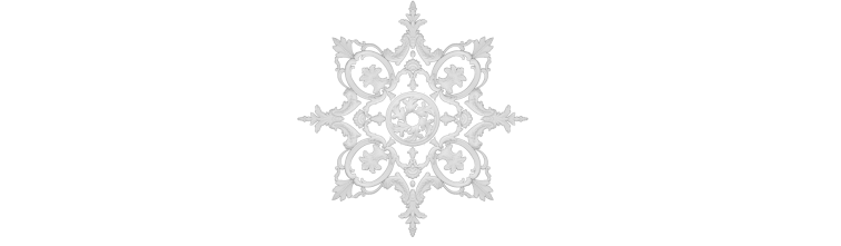 Розетка РН-2