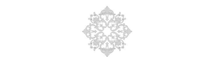 Розетка РН-6